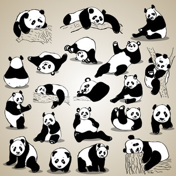 Cute cartoon panda set icons. Black white hand drawn doodle animal.