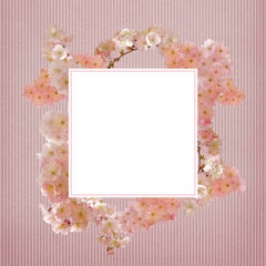 cherry blossom background