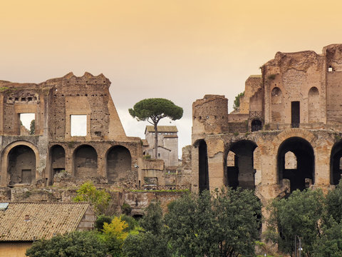 Roman Forum