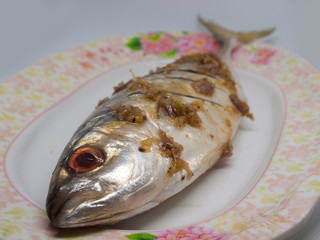 Fresh atlantic mackerel.
