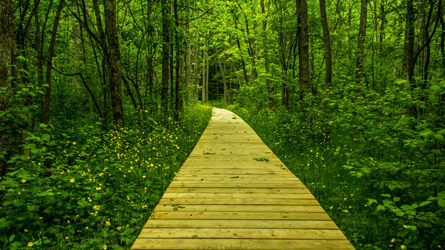Pathway to explore the naure 