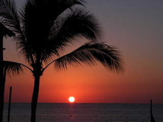 Tropical Sunrise