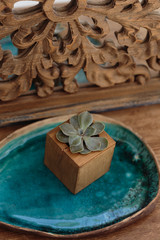 Succulent in wooden box