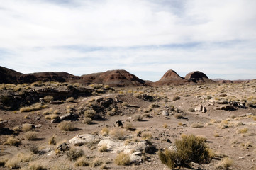 Painted Desert