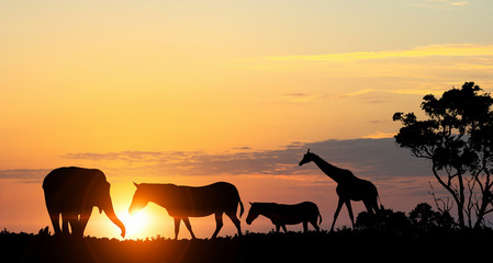 Fototapeta na wymiar Natural Safari landscape in lights of sunset . Mixed media