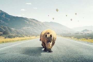 Rhino on asphalt road . Mixed media