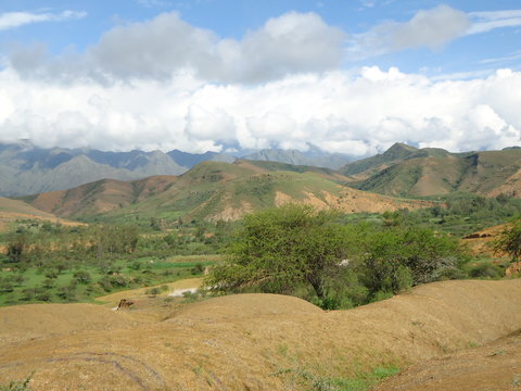 cerro de tarija