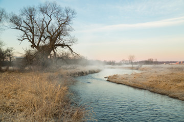 Mist and stream with spring tree