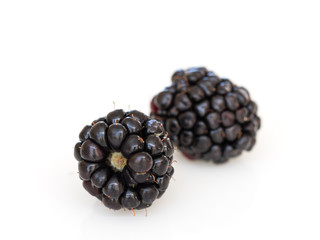 Blackberries on white background.