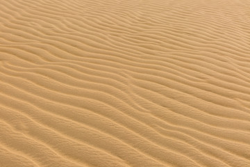 Fototapeta na wymiar Sand Dünen Textur Hintergrund