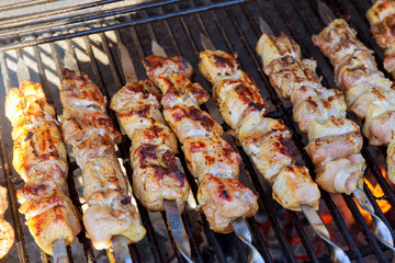 Barbecued Pork Kebab