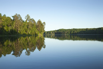 Calm northern Minnesota lake with pine trees at sunset on a clear day