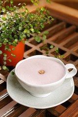 Korean Traditional tea