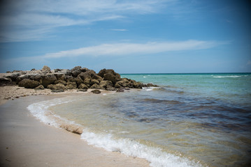 Miami South Beach Landscape 