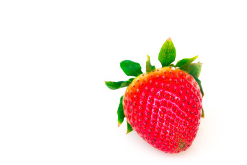 Red strawberry on white background.
