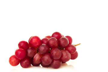 Ripe red grape isolated.
