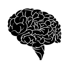 human brain icon image vector illustration design 