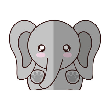 kawaii elephant animal icon over white background. colorful design. vector illustration