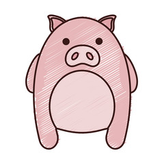 kawaii pig animal icon over white background. colorful design. vector illustration