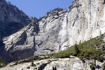 Views of trees, cliffs, and mountains in Yosemite
