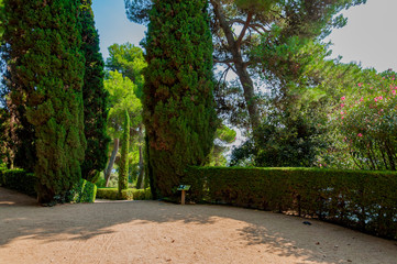 walkway in the park with bright greenery