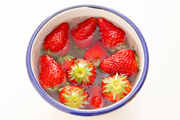 イチゴ（紅ほっぺ）