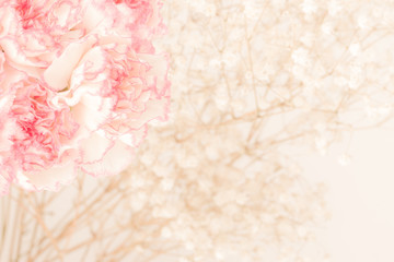 Fototapeta premium Pink Carnation Flowers Bouquet. soft filter.