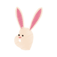 rabbit or bunny cute animal cartoon icon image vector illustration design 