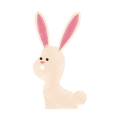 rabbit or bunny cute animal cartoon icon image vector illustration design 