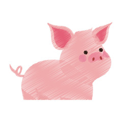 pig cute animal cartoon icon image vector illustration design 