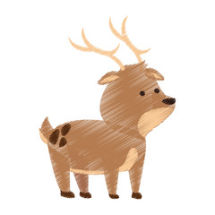 deer cute animal cartoon icon image vector illustration design 