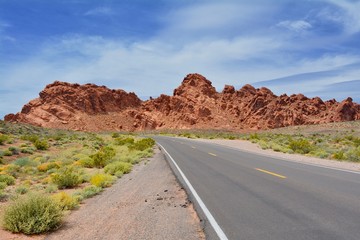 Fototapeta na wymiar Road through Valley of Fire Nevada