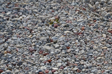 Rocks On The Ground