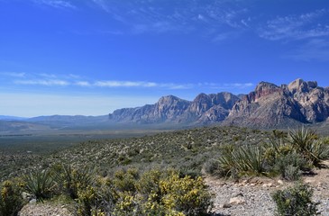 Fototapeta na wymiar Red Rock Canyon Las Vegas Nevada Vista