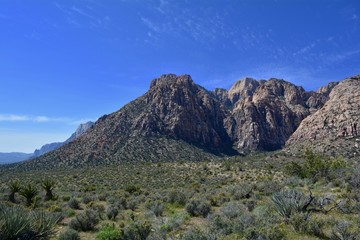 Red Rock Canyon Las Vegas Nevada