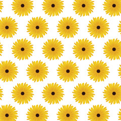 beautiful flowers background. colorful design. vector illustration