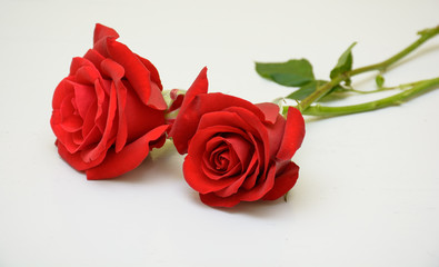isolated red rose flower with green leaves