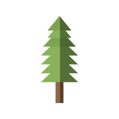 tree pine forest shadow vector illustration eps 10