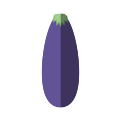 eggplant vegetable nutrition shadow vector illustration eps 10