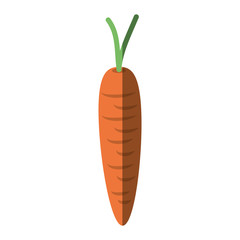 carrot vegetable nutrition shadow vector illustration eps 10