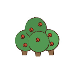 tree plant fruit nature vector illustration eps 10