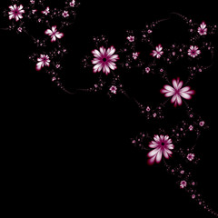 Abstract fractal flowers on a dark background