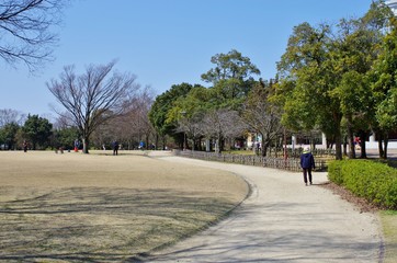 春の公園を散歩する人