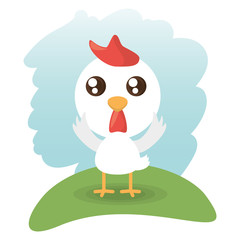 cute chick animal wildlife vector illustration eps 10