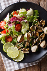 Clams with greens and fresh salad close-up on a plate. Vertical top view