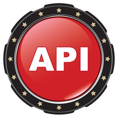 api icon