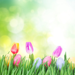 Easter eggs in grass with tulips, copy space on green garden background