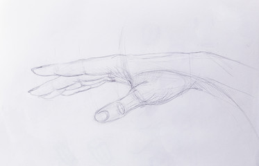 Drawing hand, pencil sketch on old paper.