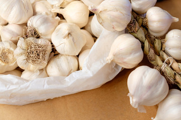 garlic bulbs in market