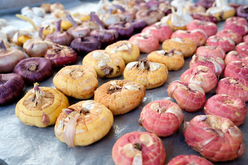 gladioli bulbs in market